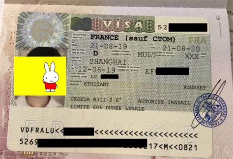 法国工作签证4年有什么待遇