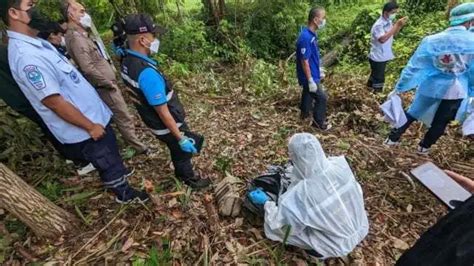 泰国回应中国游客被砍伤仍在开门
