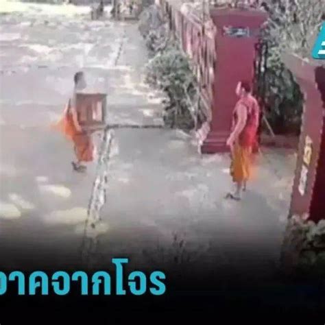 泰国小偷最新消息