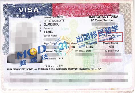 泰安移民签证咨询服务