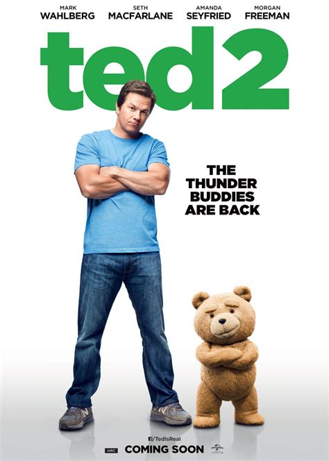 泰迪熊2电影免费完整版