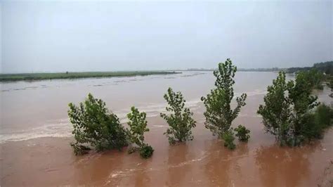 泾河洪水直播视频下载