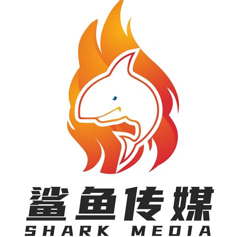 海南鲨鱼文化传媒公司