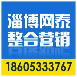 淄博网站推广公司电话