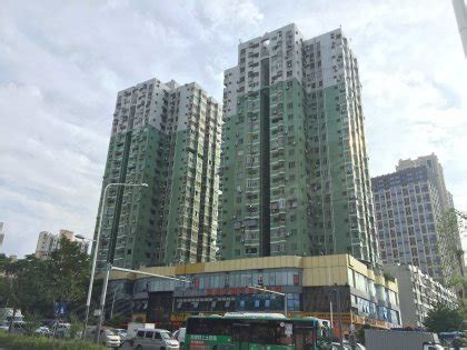深圳富豪有6套房子寻找儿子