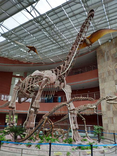 深圳恐龙化石博物馆