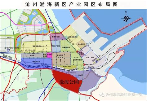 渤海新区一市分四个区