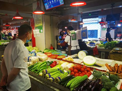 温州菜市场价格最新信息