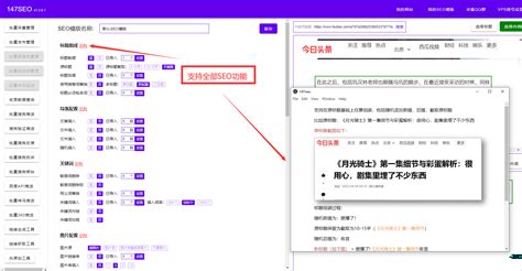 湛江市seo域名优化工具