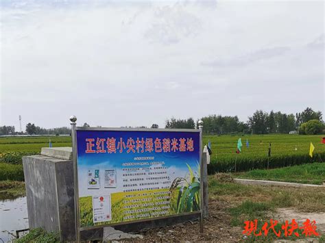 滨海县正红镇农业技术推广中心
