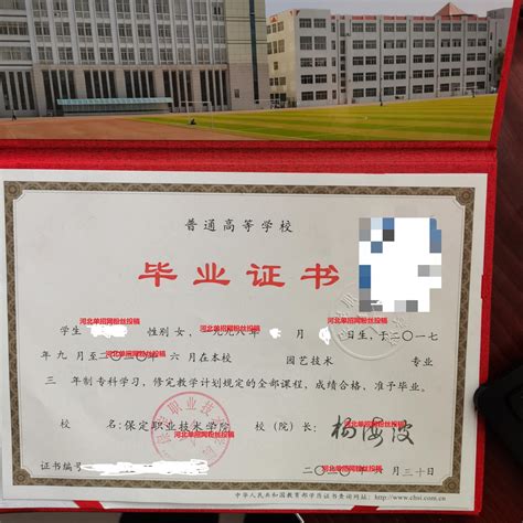漯河职业技术学院毕业证高清图