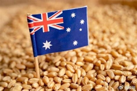 澳大利亚和中国大麦