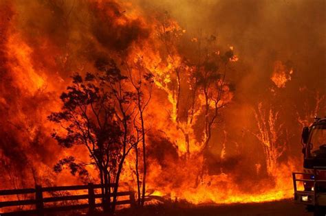 澳大利亚大火引发原因