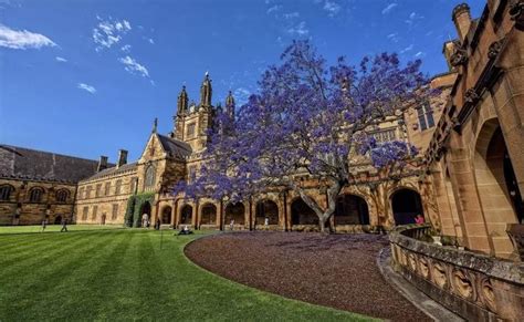 澳大利亚悉尼大学排名多少位