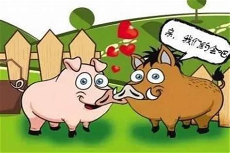 牛和猪属相配婚姻如何