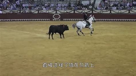 牛坐在马背上打一成语