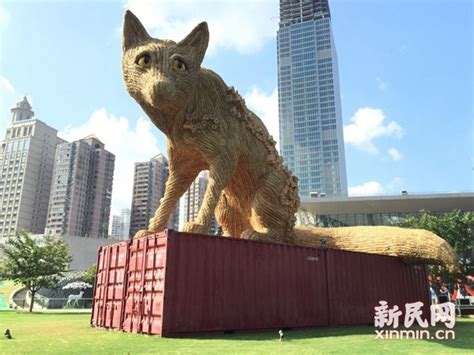 狐狸城在上海哪里