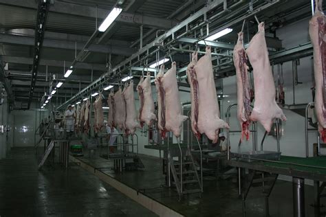 猪产品加工厂起名