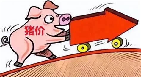 猪价上涨农发种业会涨吗
