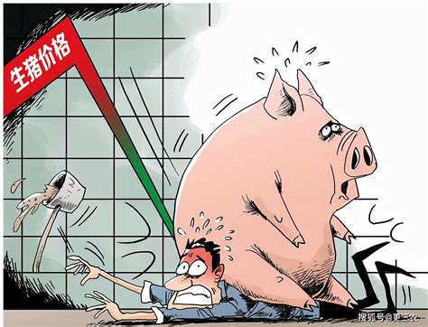 猪价横盘风险
