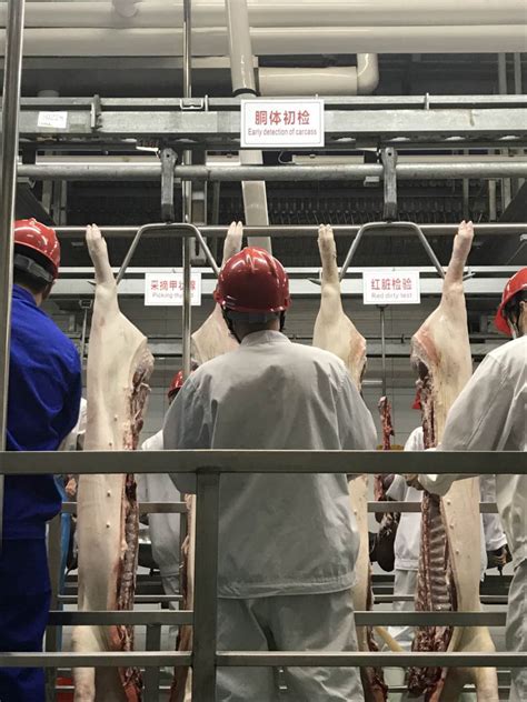 猪肉生产企业起名