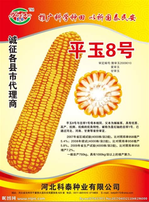 玉米种子编号大全