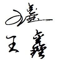 王鑫的简单艺术签名