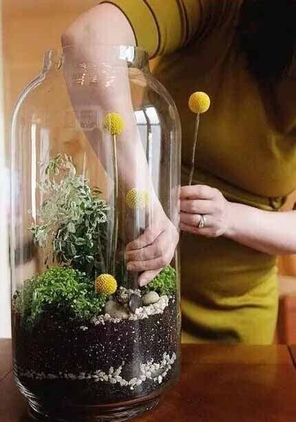 玻璃盆栽植物制作