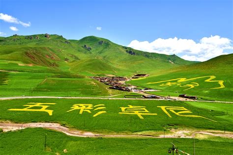 甘南藏族自治州seo优化排名平台