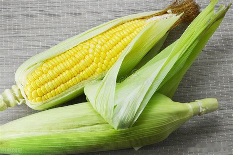 甜玉米是转基因吗官方