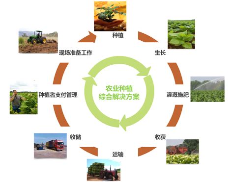 生态农业合伙模式