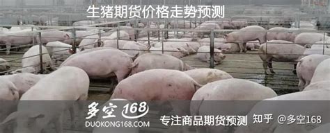 生猪期货2305合约是几月份猪价