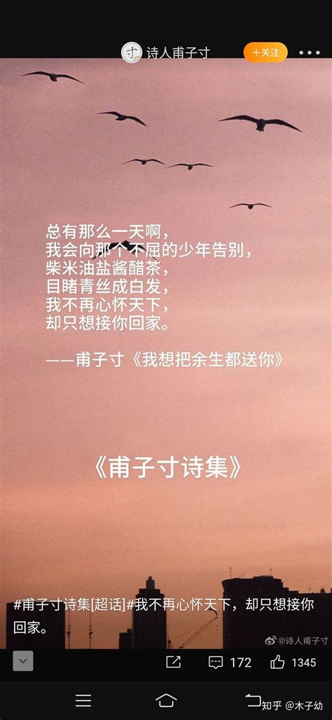 甫子寸的诗被选入上海高考备卷