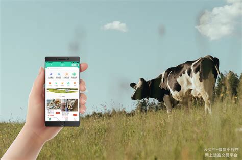 畜牧产品十大交易平台app