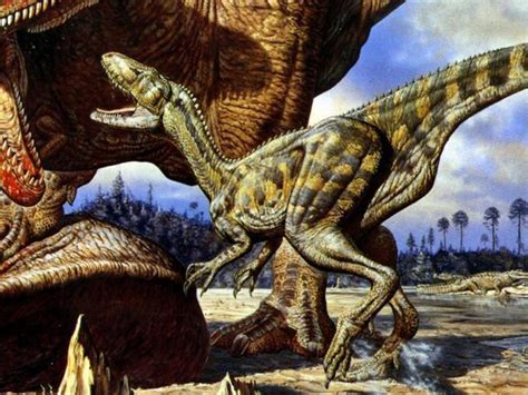 白垩纪恐龙排行