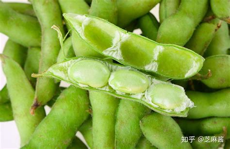 白豆种植有几个品种