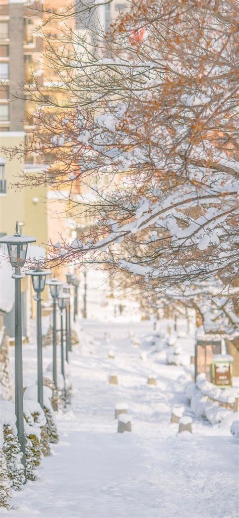 白雪皑皑外国街景