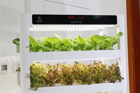 盆栽蔬菜自动种植机