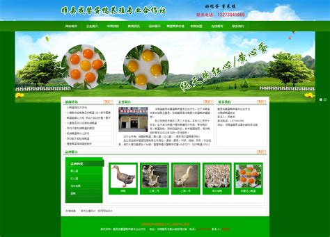 睢县网站优化设计