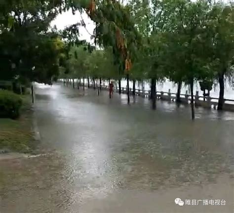 睢县降雨实况