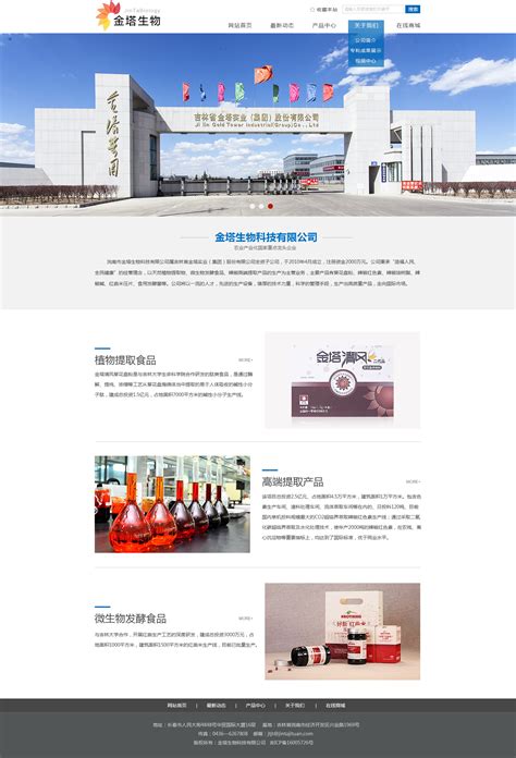 石家庄公司网站设计制作