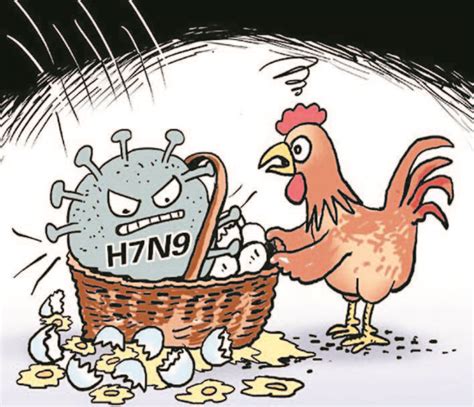 禽流感由什么病毒引起