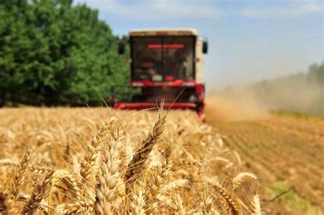 稳定粮食生产促进农民增收