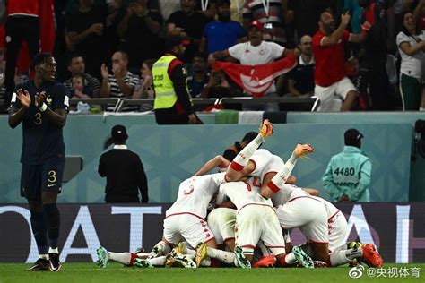 突尼斯1-0法国赛后