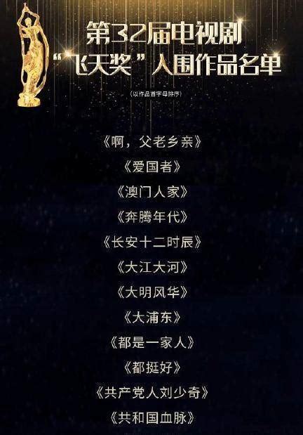 第11届中国电视剧飞天奖获奖名单