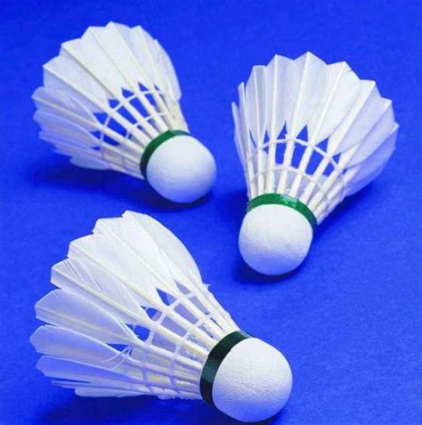 简述羽毛球运动的主要特点和功能