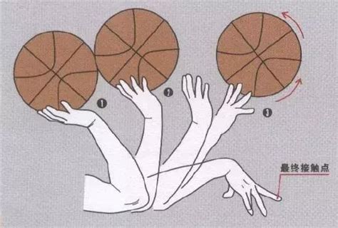 篮球投篮姿势及训练方法