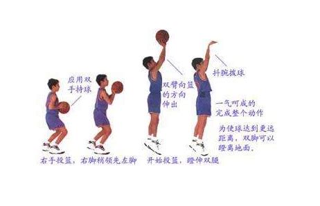 篮球的运动的基本知识