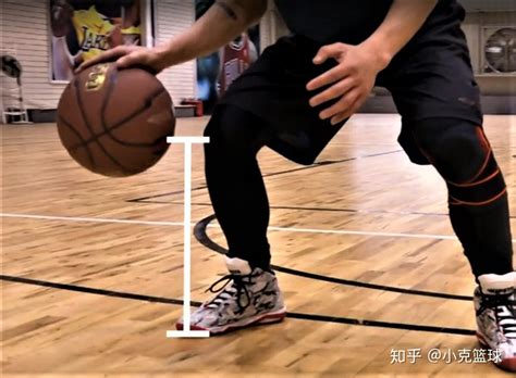 篮球零基础入门教学