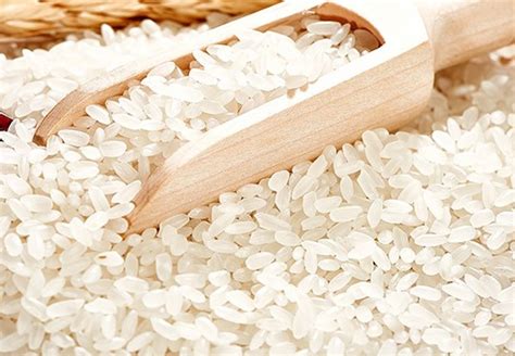 粳米是粘大米吗